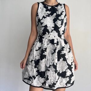 Piperlime Collection floral fit and flare dress
